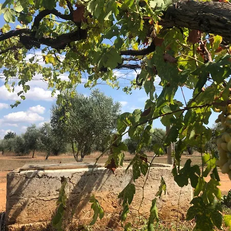 I Trulli Della Masseria Del Salento