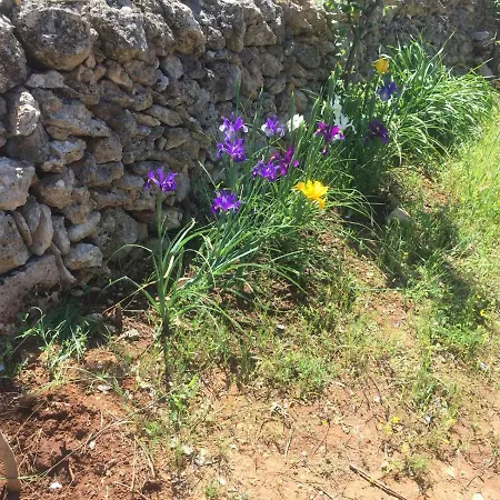 I Trulli Della Masseria Del Salento Maruggio